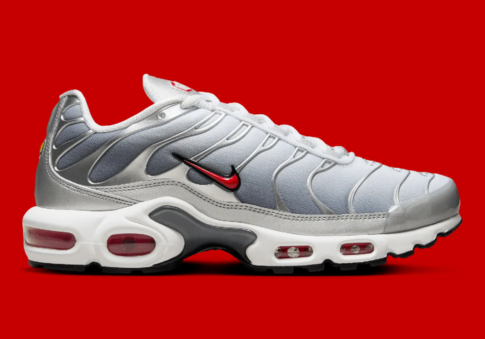 NIKE AIR MAX PLUS TN SILVER