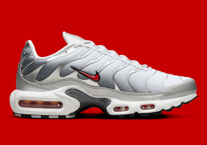 NIKE AIR MAX PLUS TN SILVER