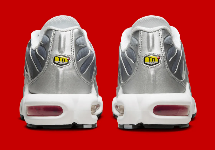 NIKE AIR MAX PLUS TN SILVER