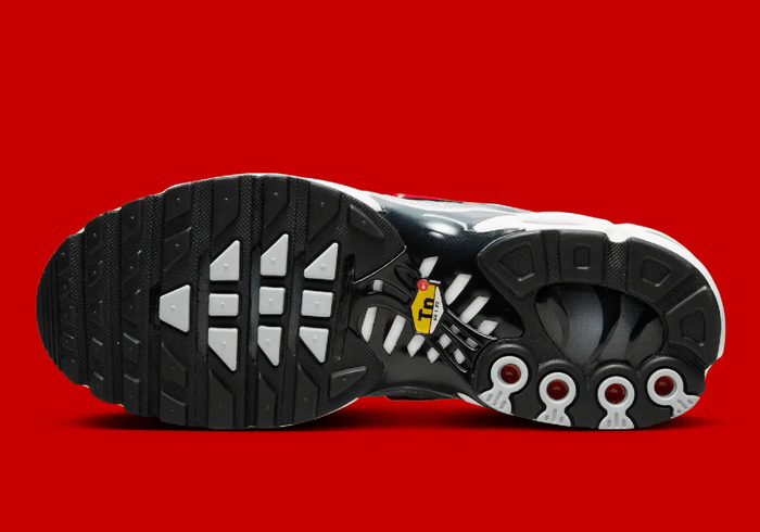 NIKE AIR MAX PLUS TN SILVER