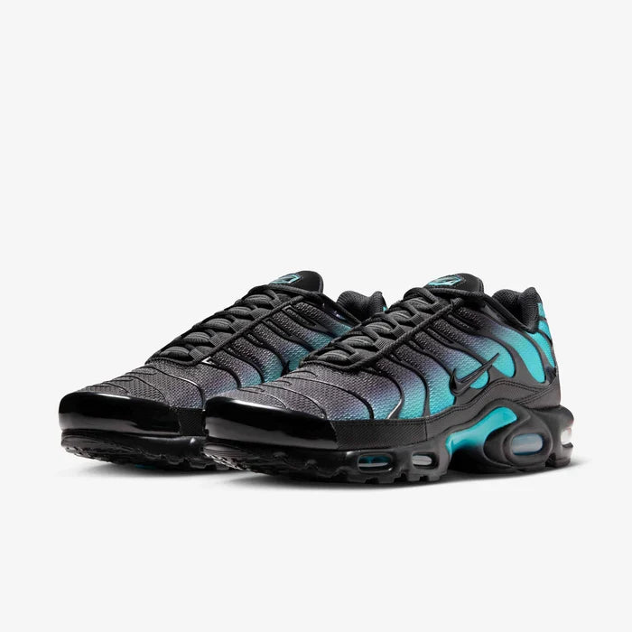 Nike Air Max Plus "Dusty Cactus" DM0032-016 Nike