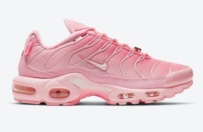 NIKE AIR MAX PLUS TN ATLANTA