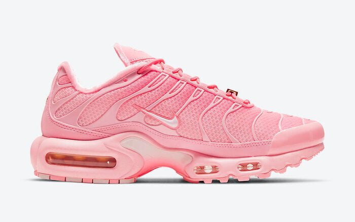 NIKE AIR MAX PLUS TN ATLANTA