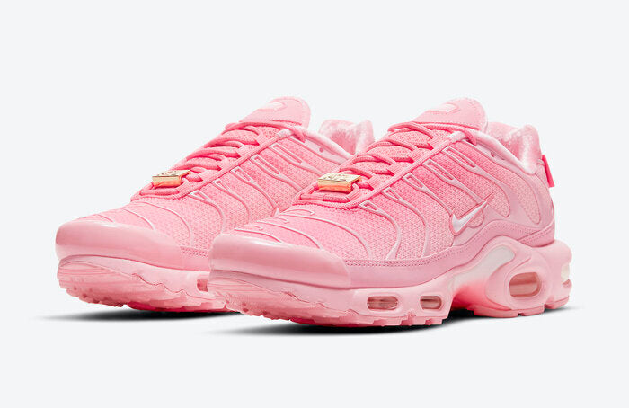 NIKE AIR MAX PLUS TN ATLANTA