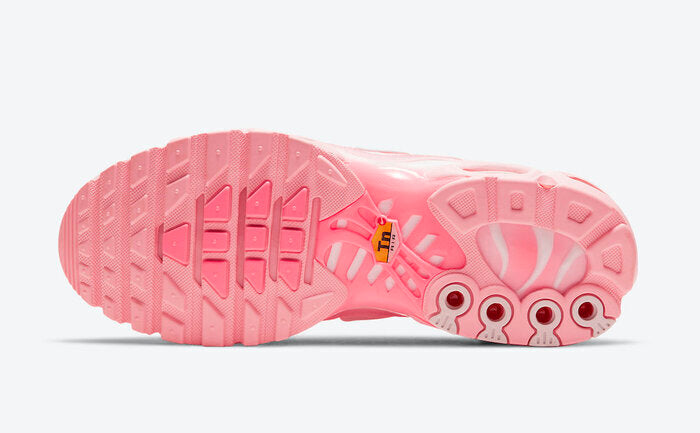 NIKE AIR MAX PLUS TN ATLANTA