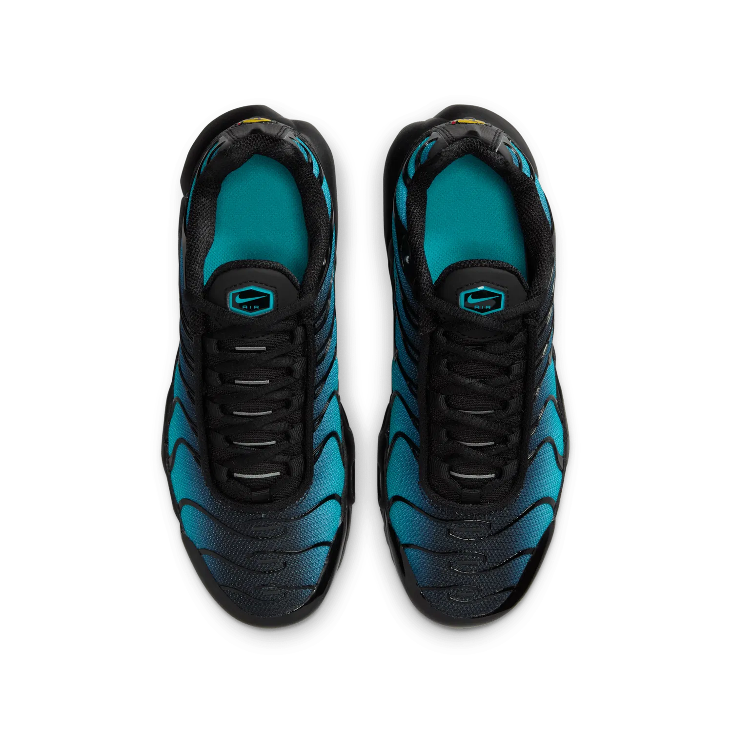 Nike Air Max Plus "Dusty Cactus"