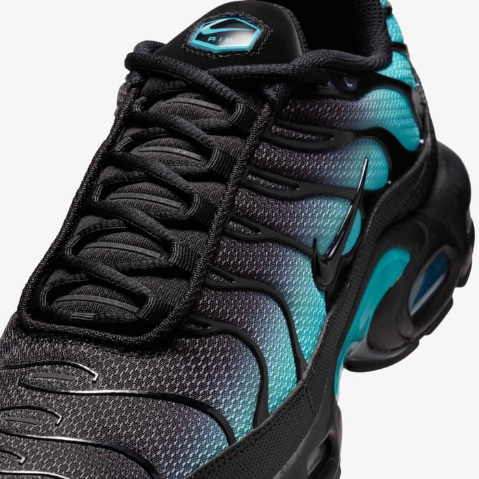 Nike Air Max Plus "Dusty Cactus" DM0032-016 Nike