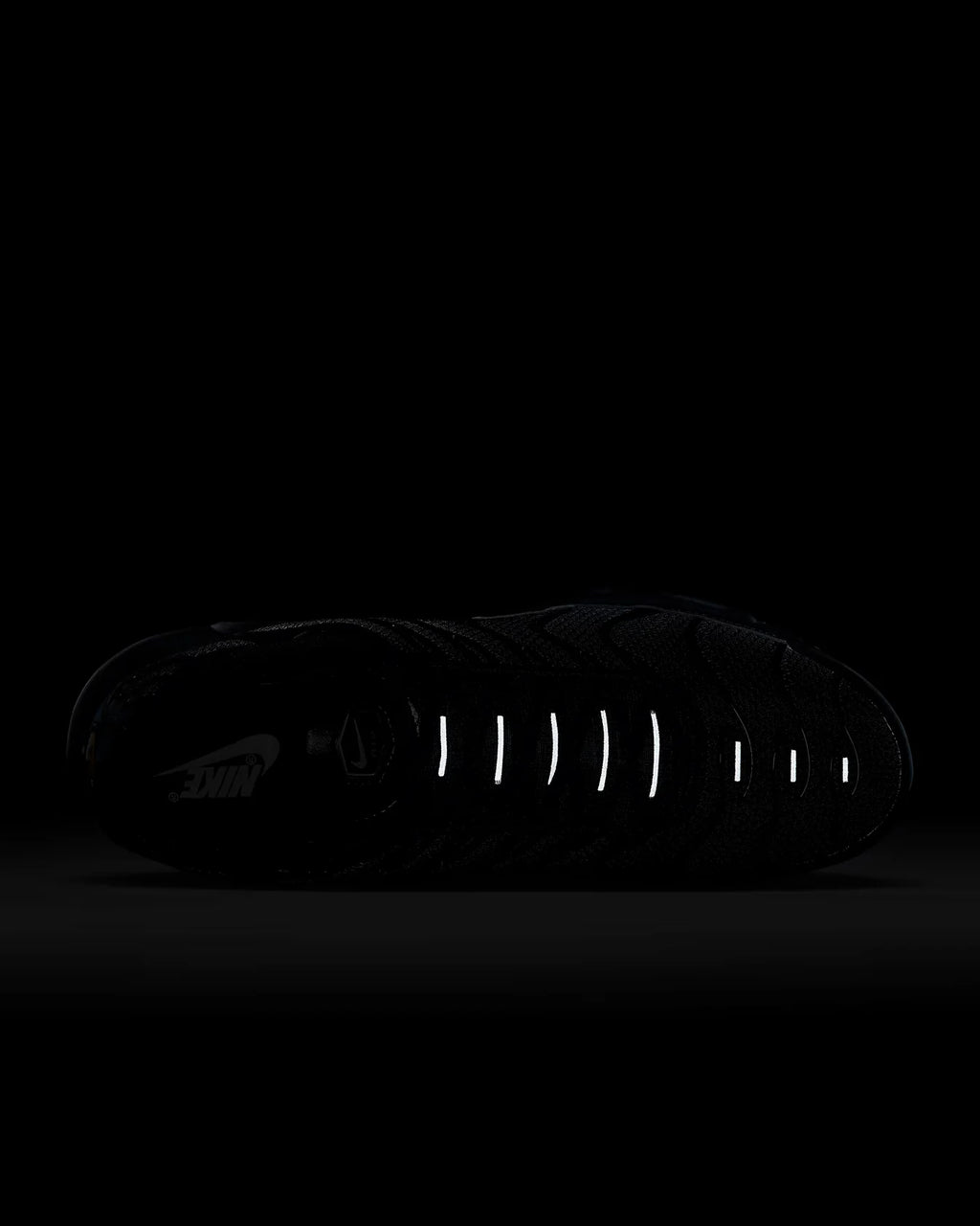 NIKE AIR MAX PLUS TN "TRIPLE BLACK" 604133-050