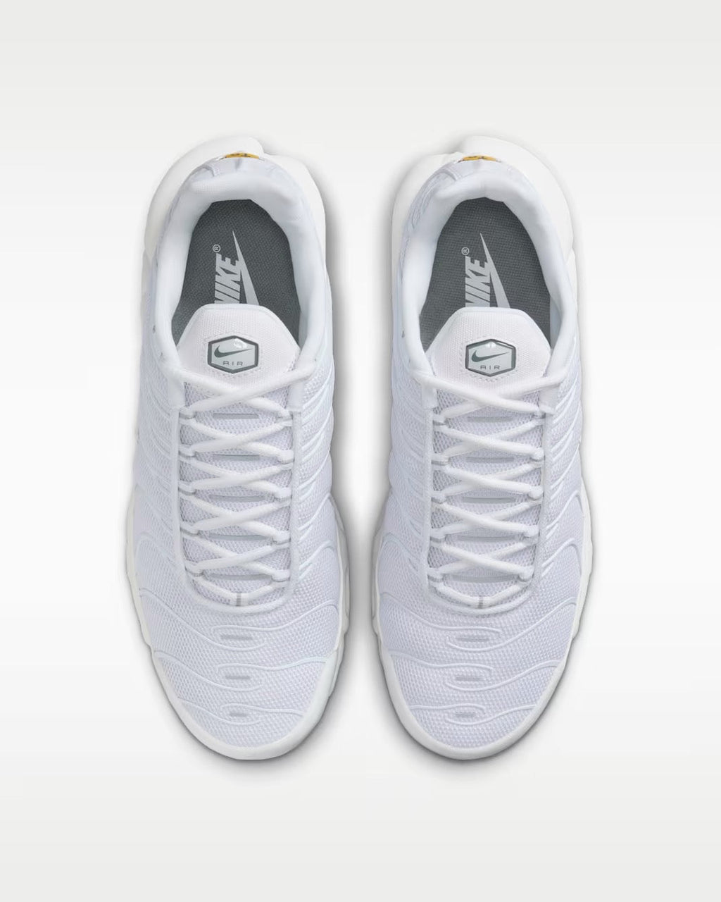 Nike TN Air Max Plus Triple White 604133-139 Nike