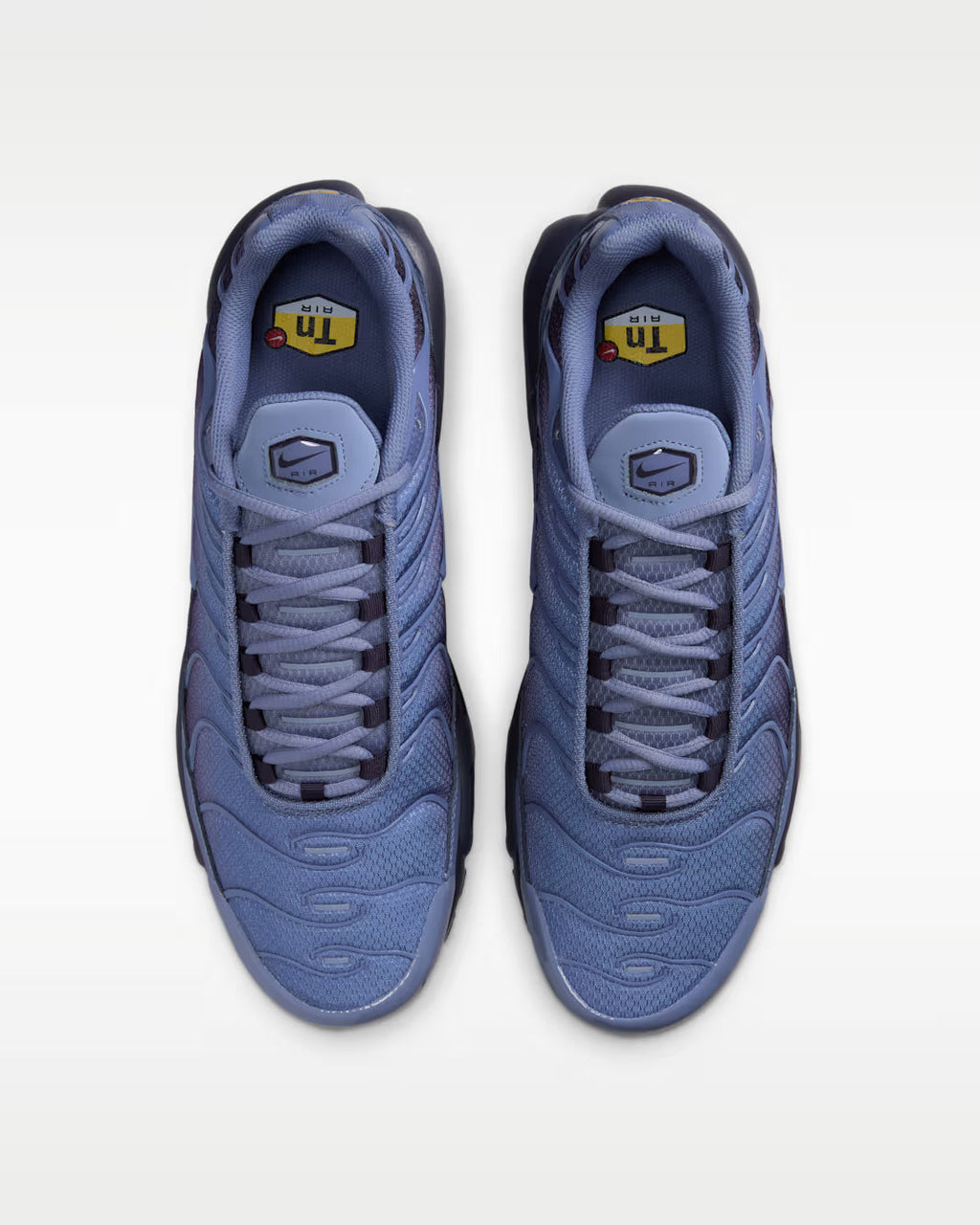 Nike Air Max Plus World Indigo DM0032-404 Nike