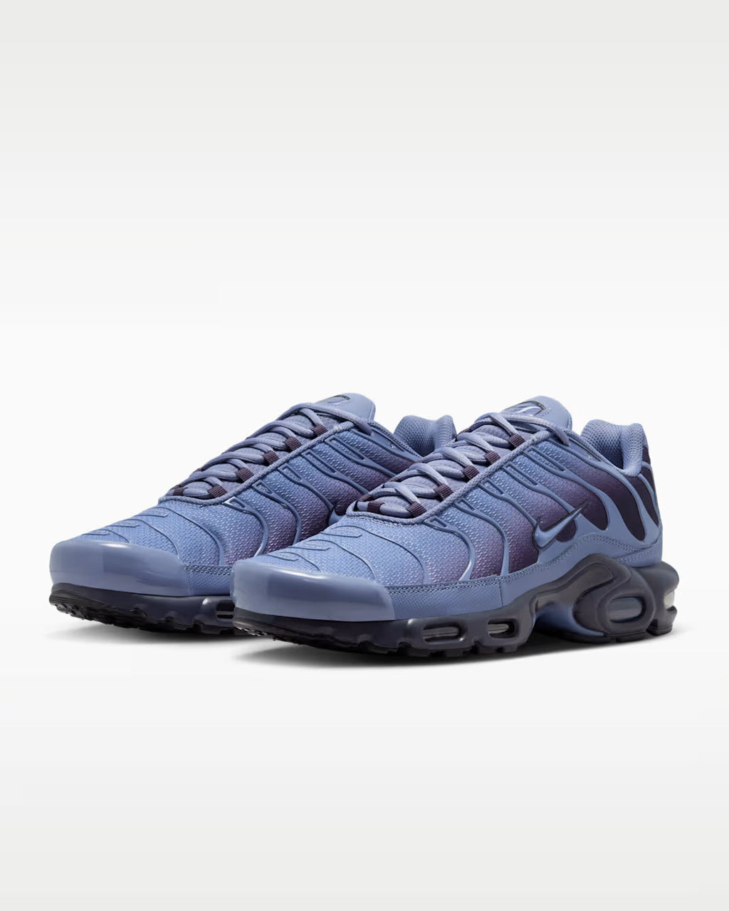 Nike Air Max Plus World Indigo DM0032-404 Nike