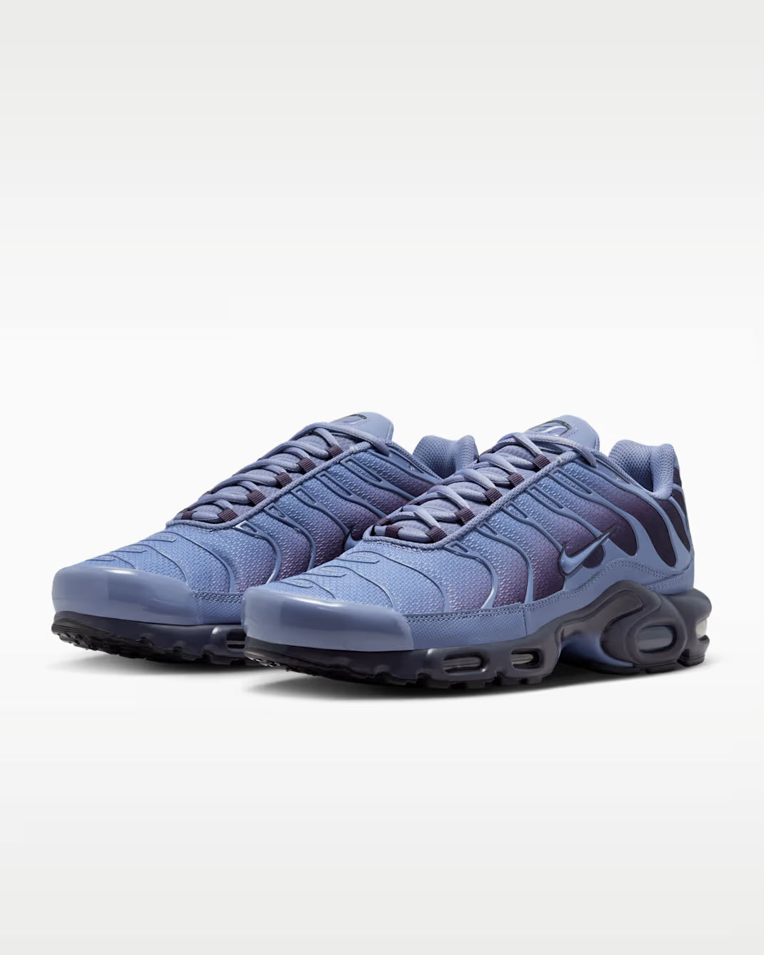 Nike Air Max Plus World Indigo DM0032-404