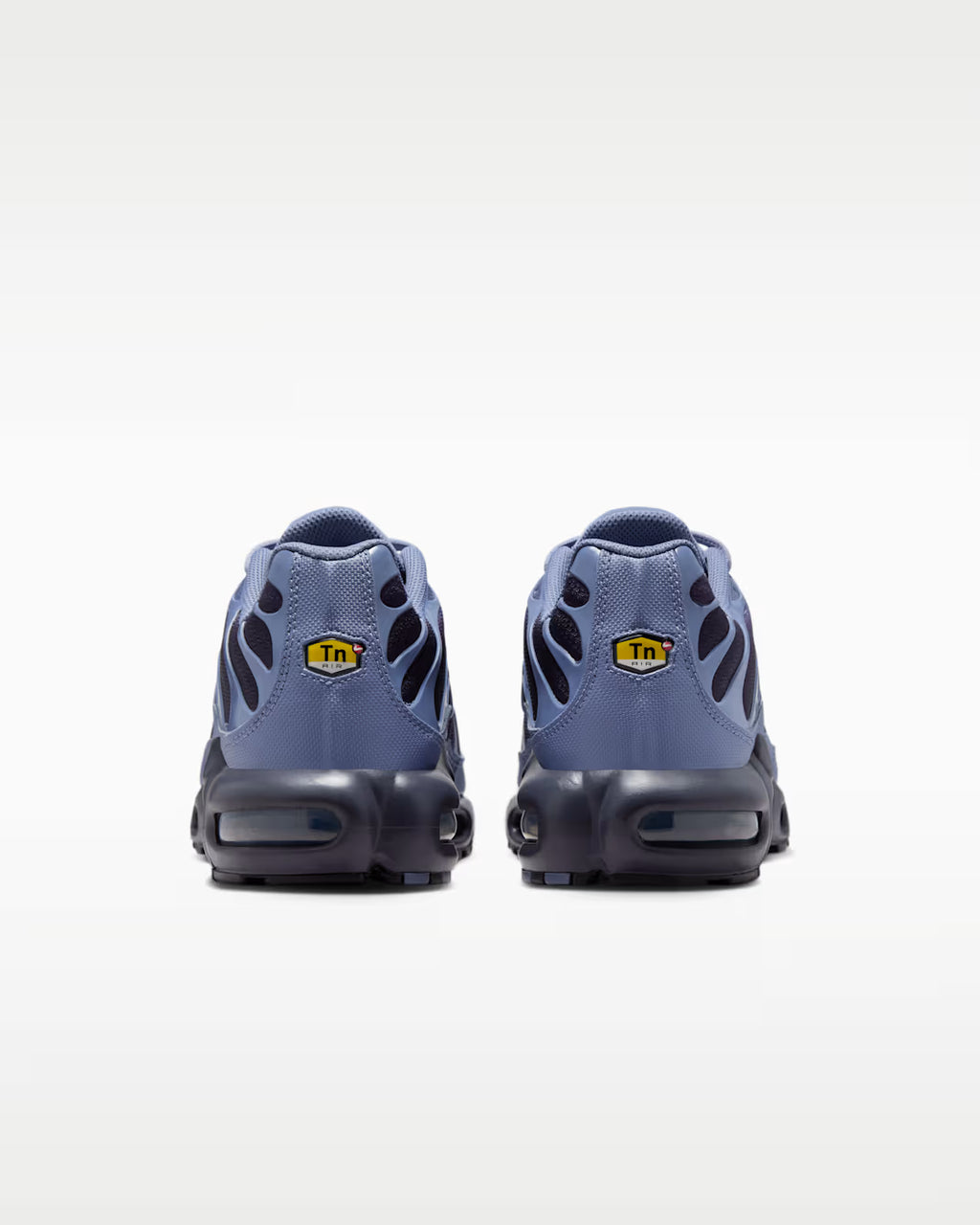 Nike Air Max Plus World Indigo DM0032-404