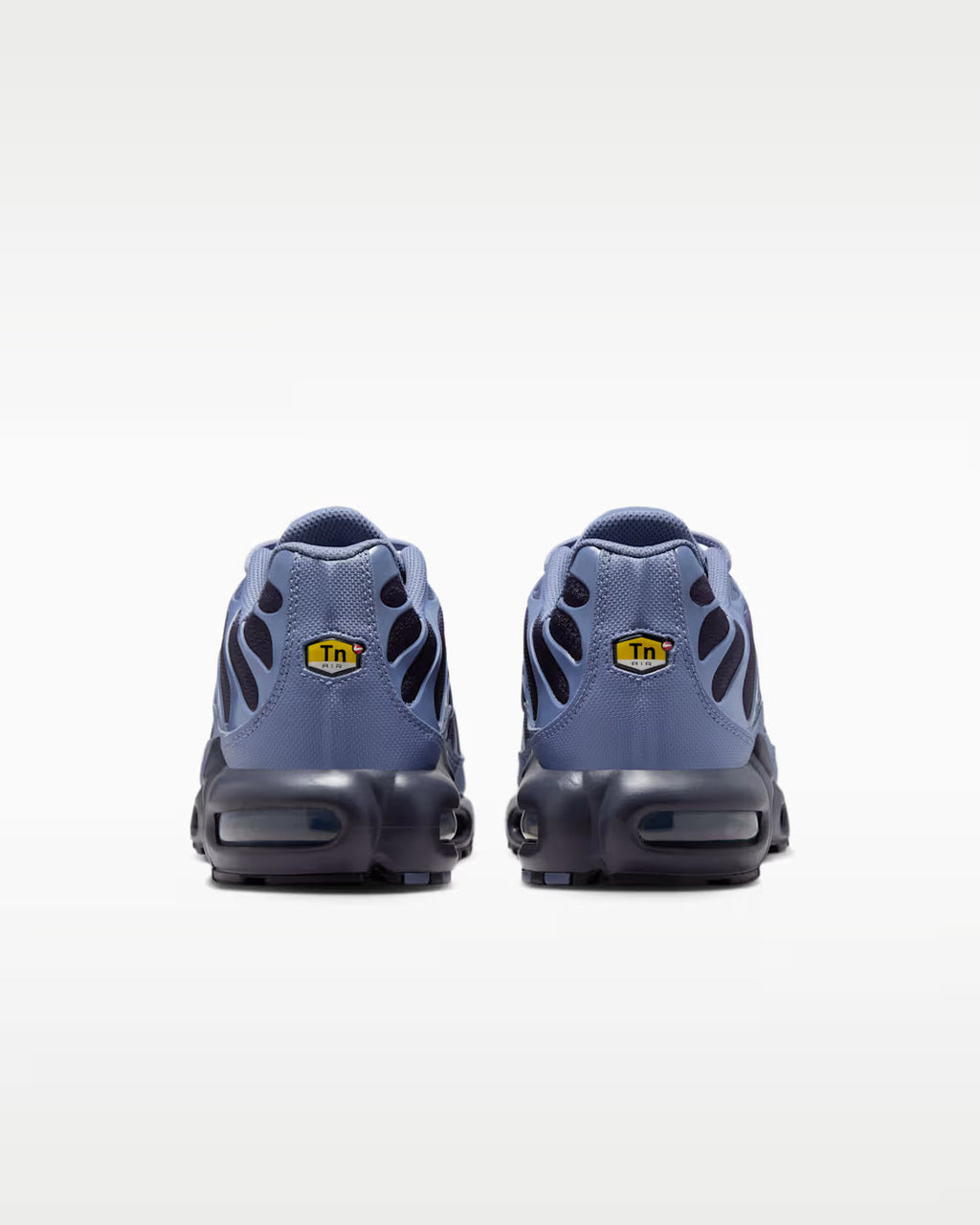 Nike Air Max Plus World Indigo DM0032-404 Nike
