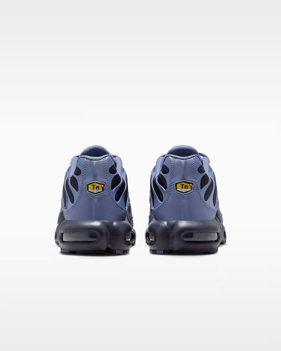 Nike Air Max Plus World Indigo DM0032-404 Nike