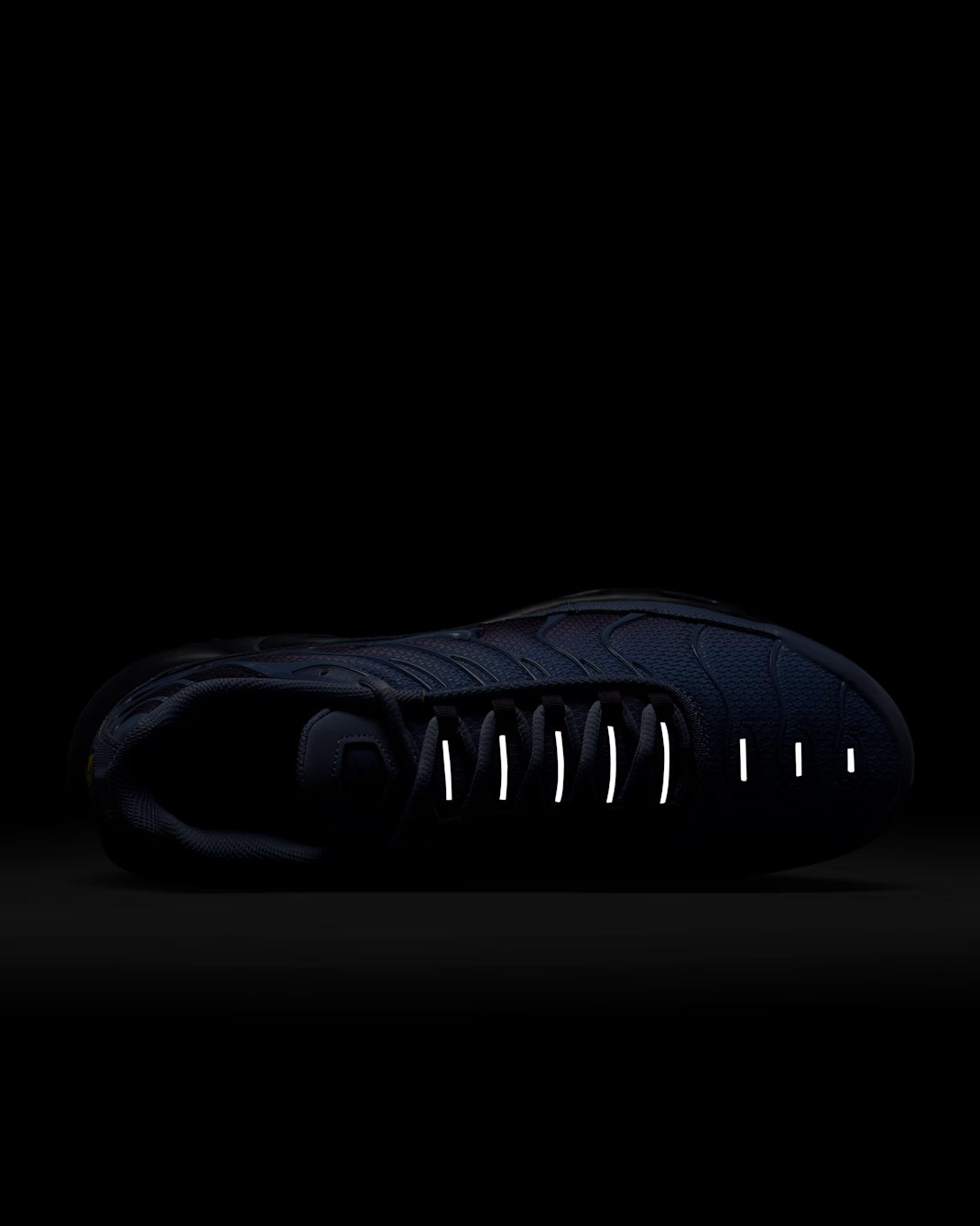 Nike Air Max Plus World Indigo DM0032-404