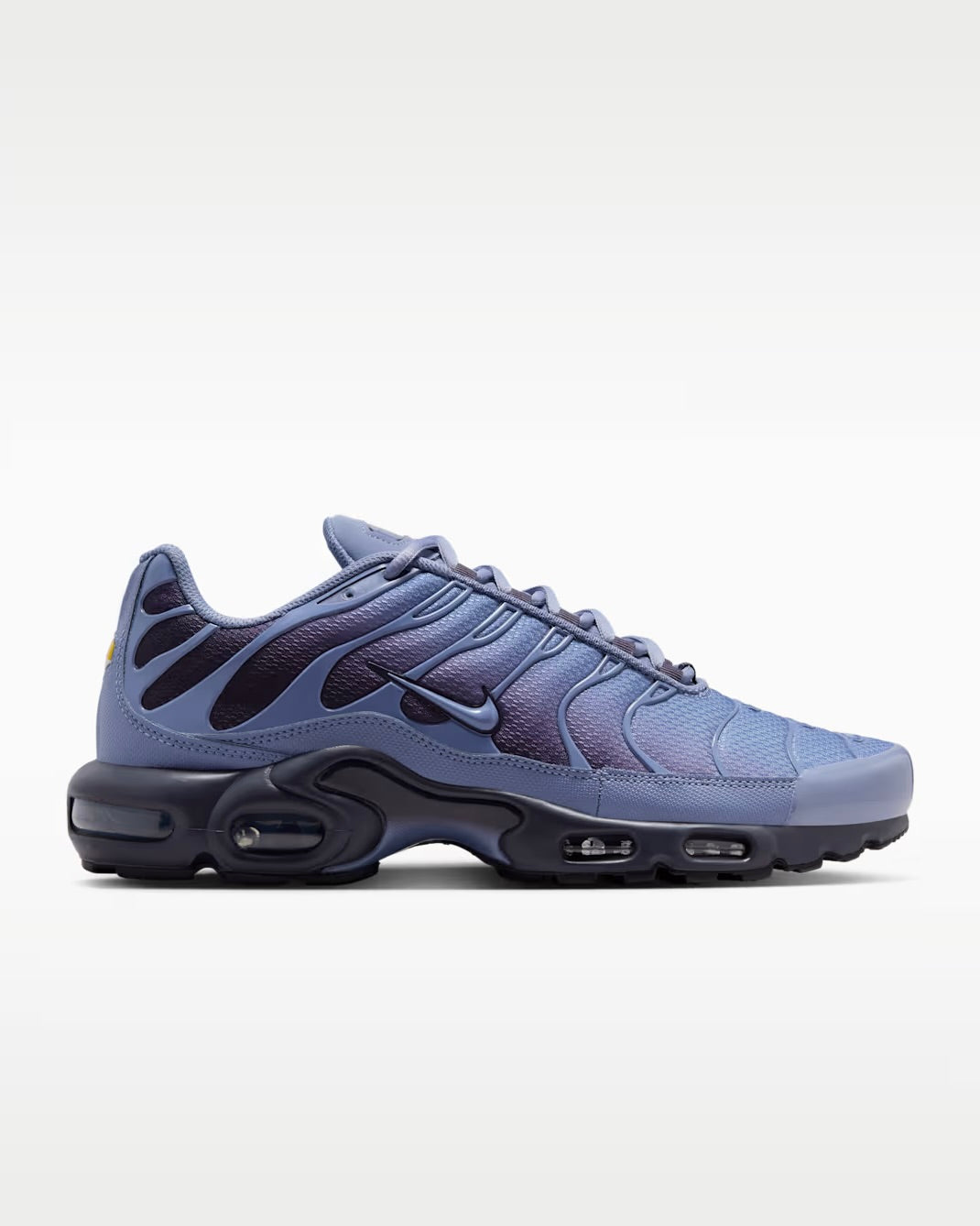 Nike Air Max Plus World Indigo DM0032-404