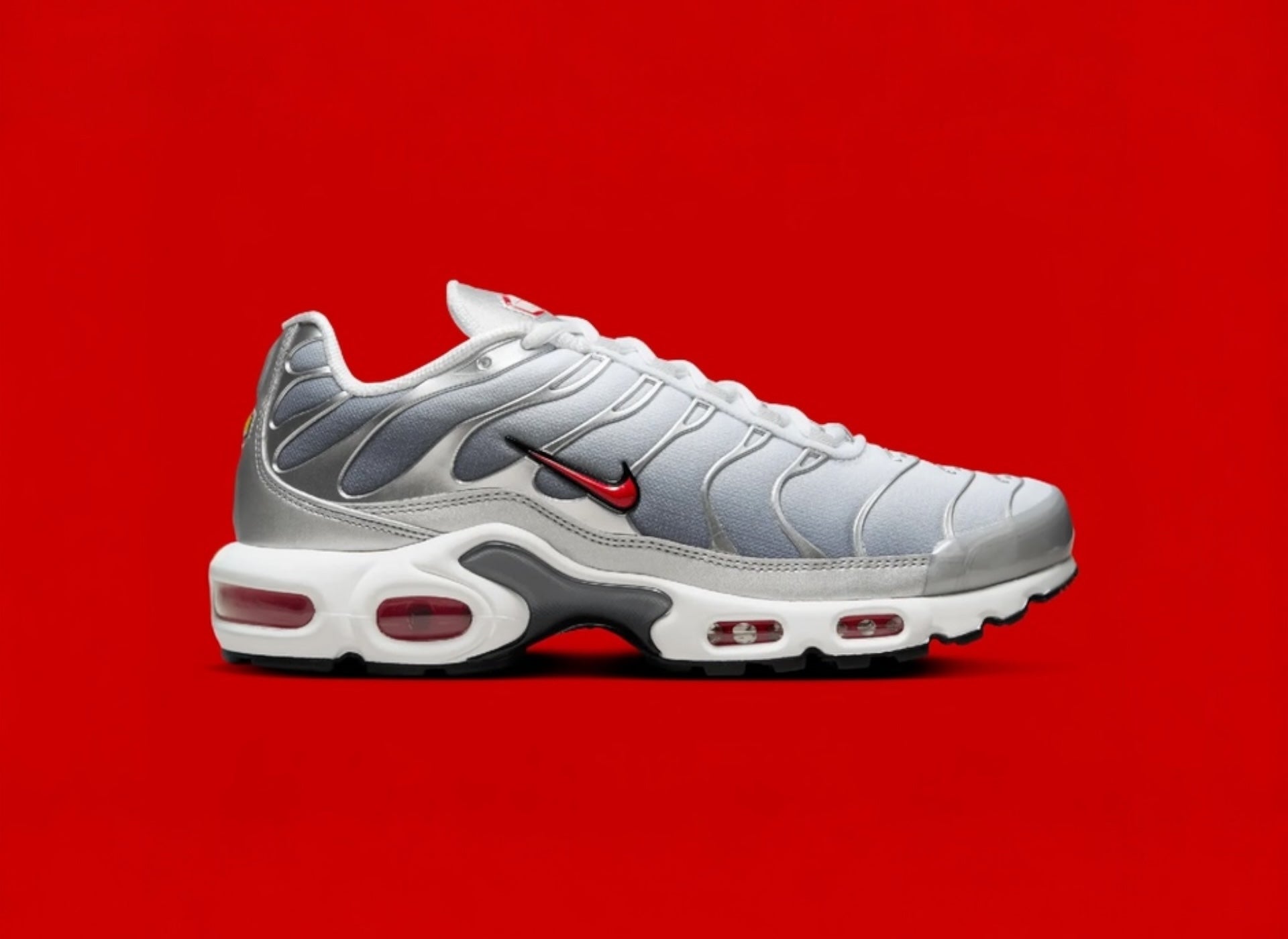 NIKE AIR MAX PLUS TN SILVER