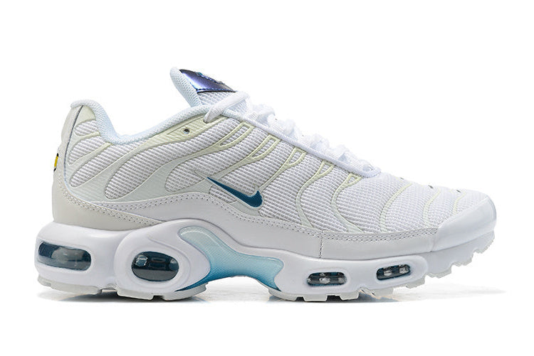 Nike Air Max Plus White Blue