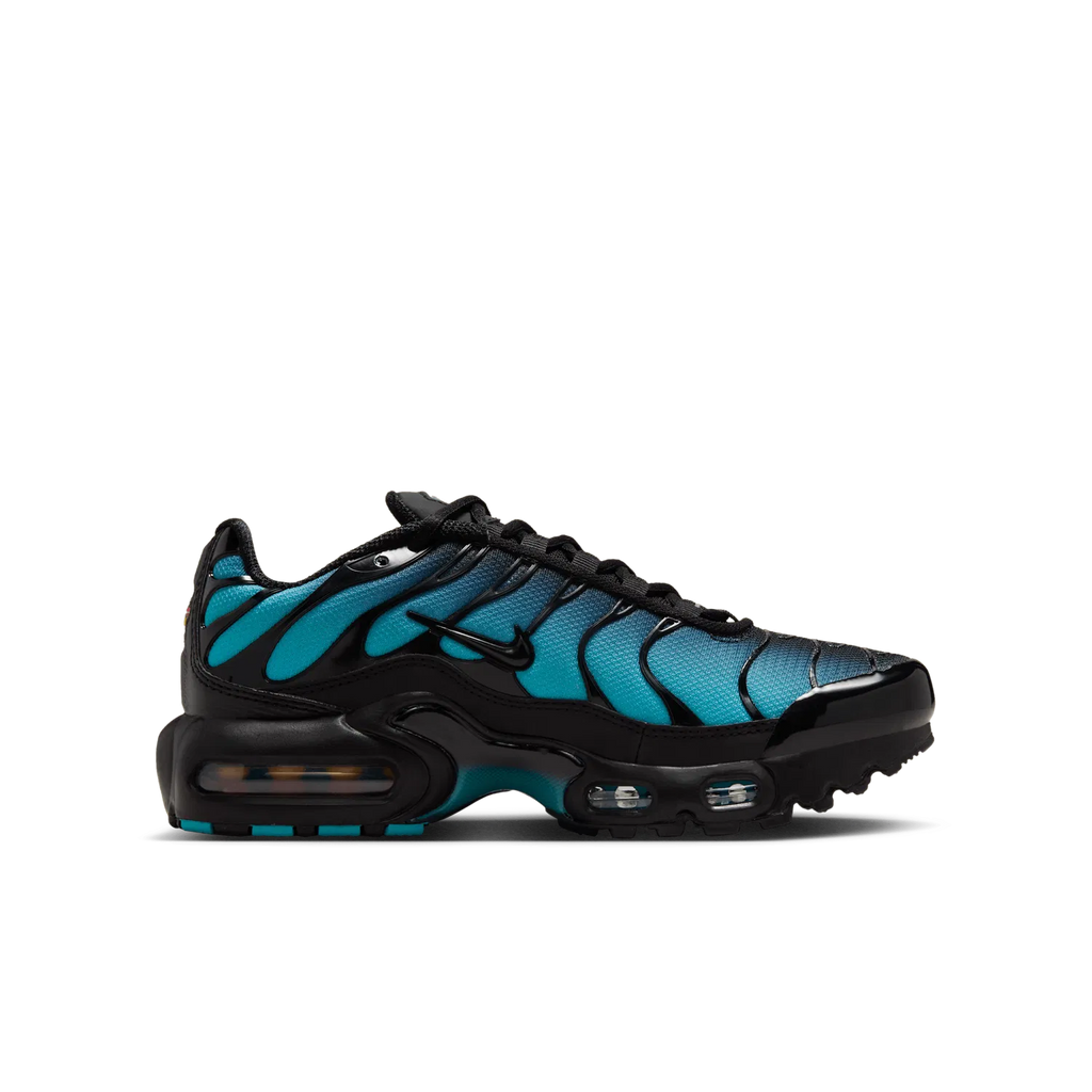 Nike Air Max Plus "Dusty Cactus"
