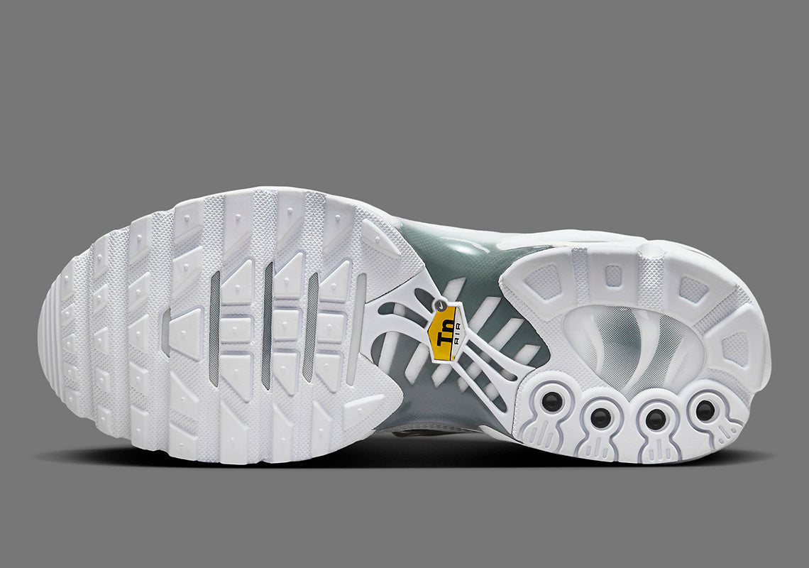 NIKE AIR MAX PLUS TN BLACK AND SILVER