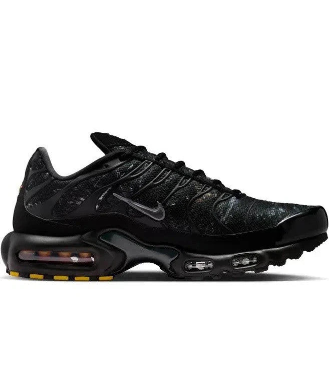 Nike Air Max Plus "Smoke Grey/Cool Grey" IQ0301 070 Nike