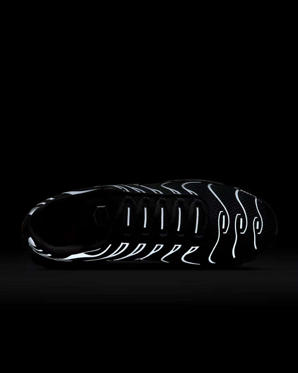 Nike Air Max Plus "Black Reflective Silver"